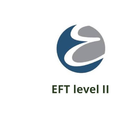 Emotion-Focused Therapy (EFT) level 2